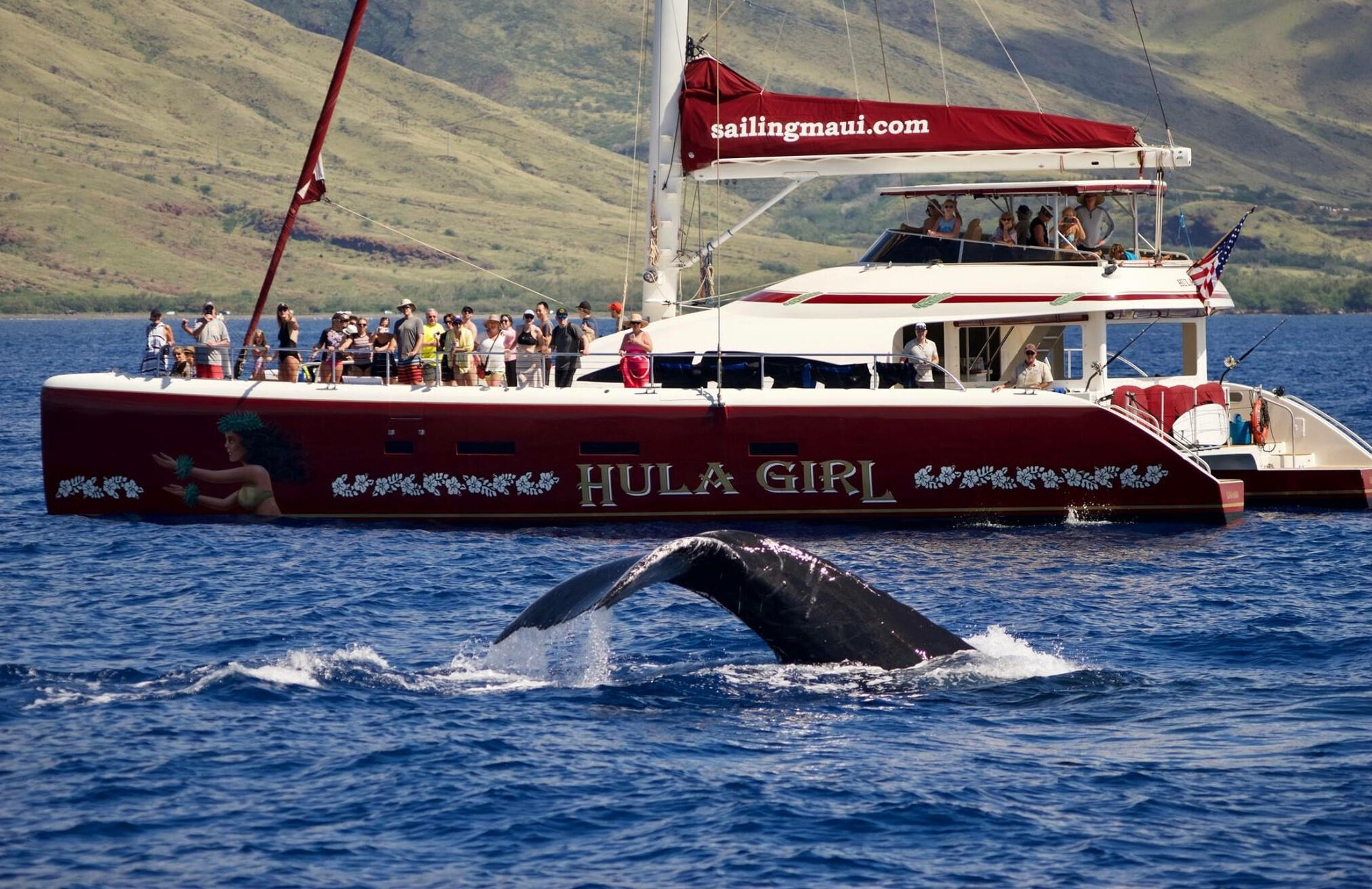 Whale Watching on the Hula Girl